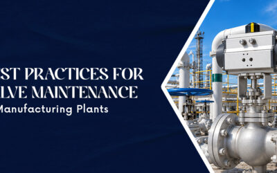 Best Practices for Valve Maintenance in Manufacturing Plants