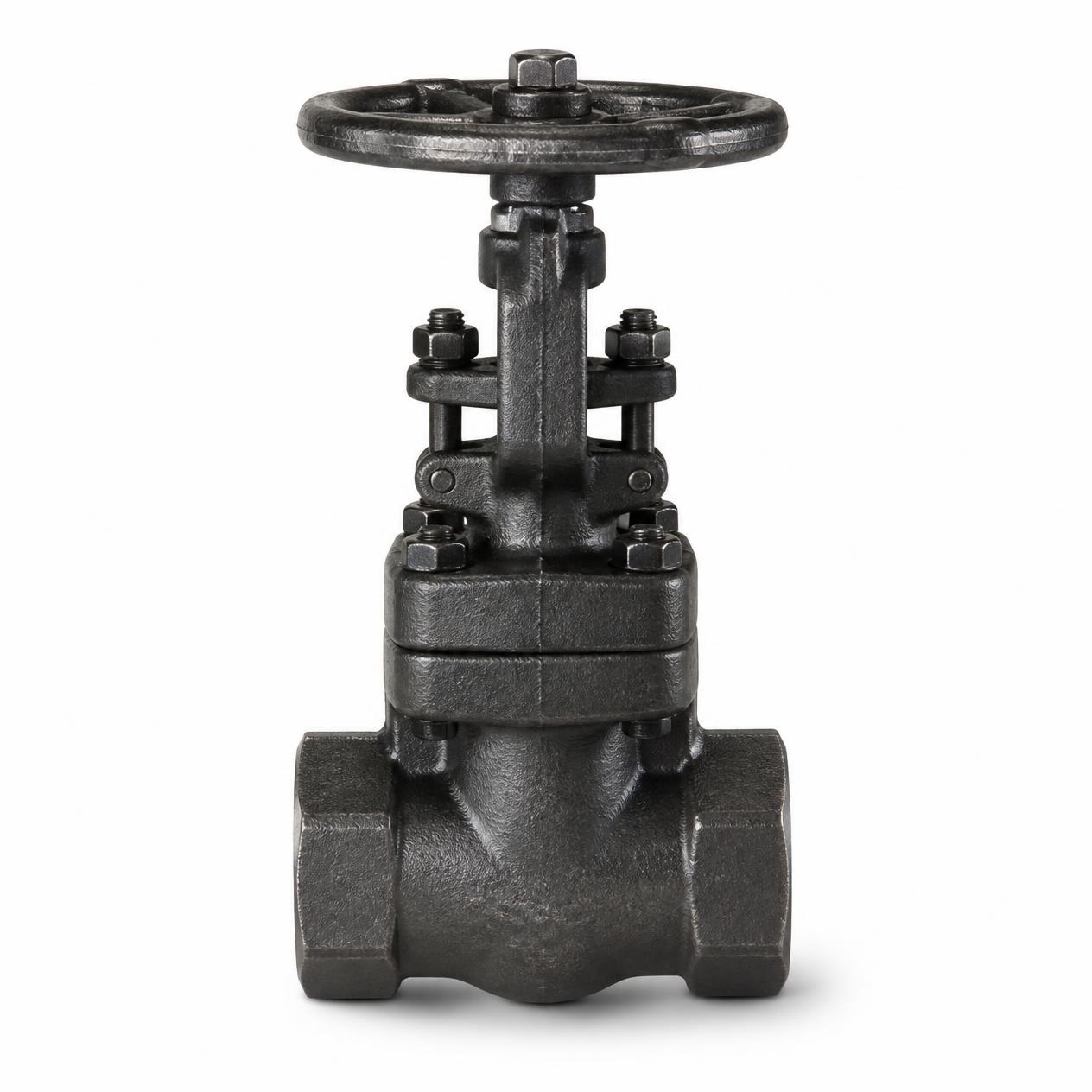 Forged Steel Gate Valves